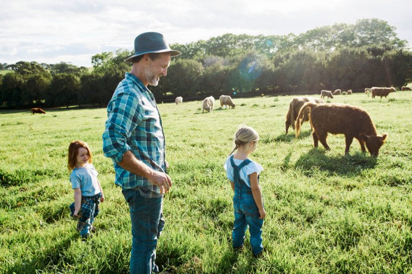 Compulsory acquisition: your rights when the government takes your land image