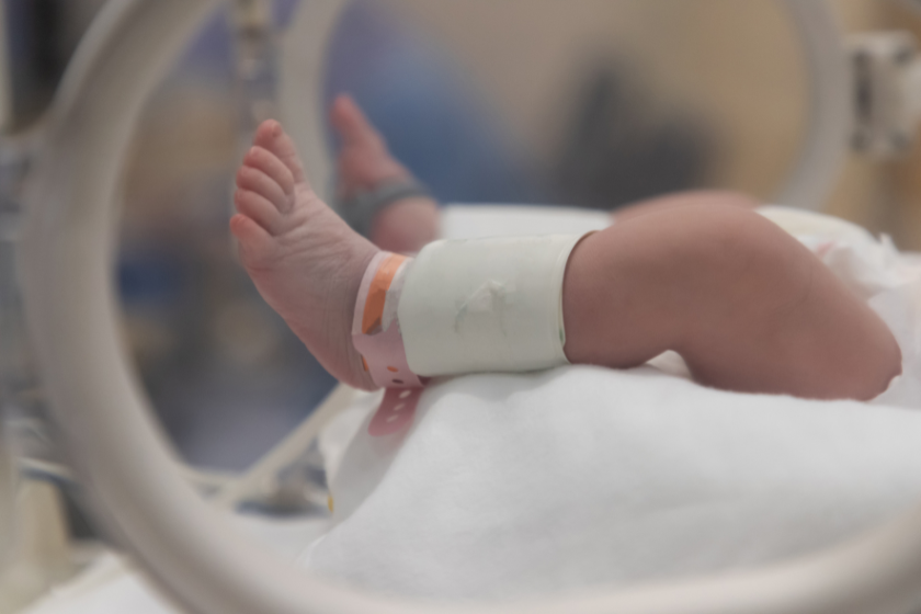 MEJ Charity Spotlight: Cancer Council, Newborn Intensive Care Foundation, OzHarvest image